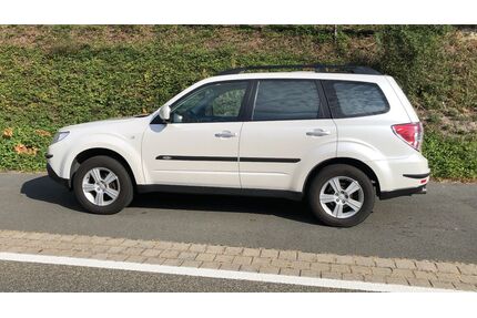 Subaru Forester Gebrauchtwagen