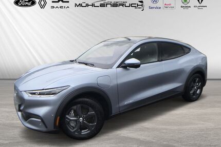 Ford Mustang Mach-E Gebrauchtwagen