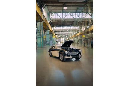 Austin Healey Andere Gebrauchtwagen