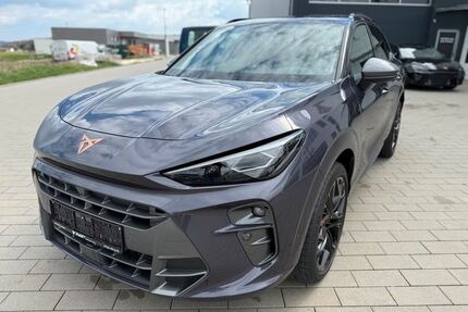 Cupra Terramar Gebrauchtwagen