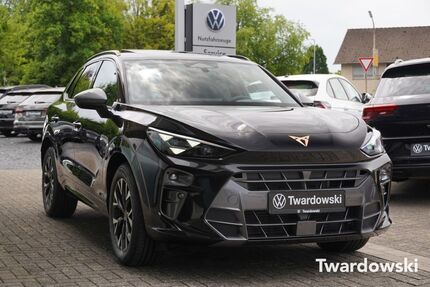 Cupra Terramar Gebrauchtwagen