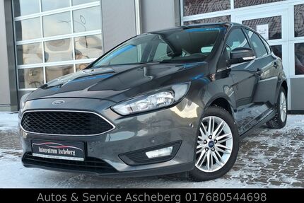 Ford Focus Gebrauchtwagen