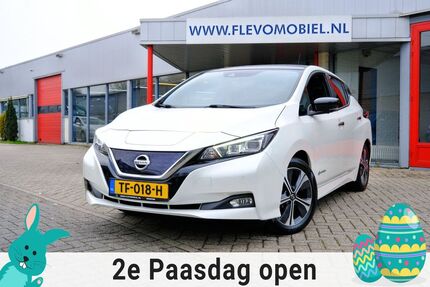 Nissan Leaf Gebrauchtwagen