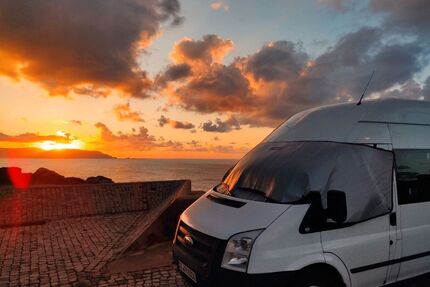 Ford Tourneo Gebrauchtwagen