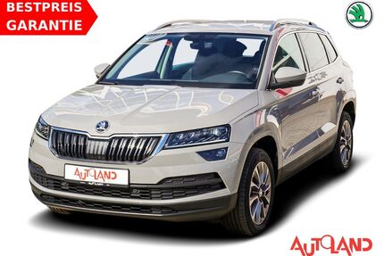 Skoda Karoq Gebrauchtwagen