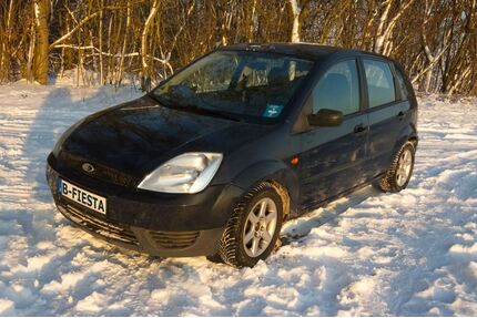 Ford Fiesta Gebrauchtwagen