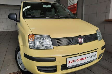 Fiat Panda Gebrauchtwagen