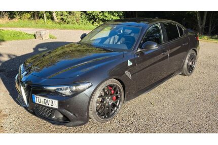 Alfa Romeo Giulia Gebrauchtwagen