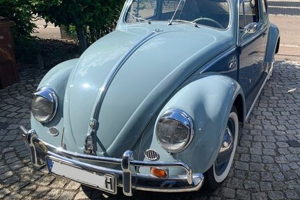 VW Käfer Gebrauchtwagen