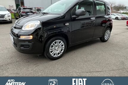 Fiat Panda Gebrauchtwagen