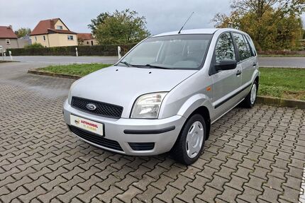 Ford Fusion Gebrauchtwagen