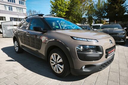 Citroen C4 Cactus Gebrauchtwagen
