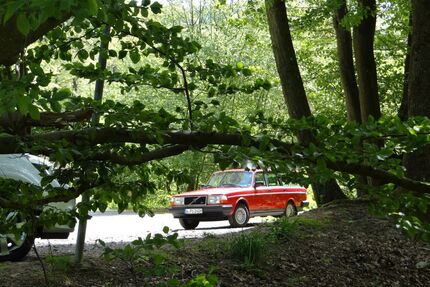 Volvo 245 Gebrauchtwagen