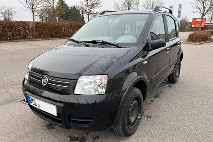 Fiat Panda Gebrauchtwagen