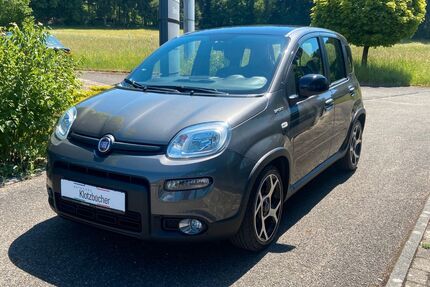 Fiat Panda Gebrauchtwagen