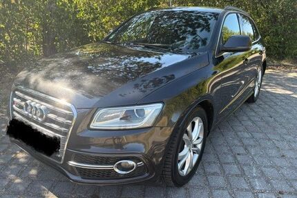 Audi SQ5 Gebrauchtwagen