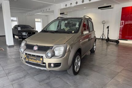 Fiat Panda Gebrauchtwagen