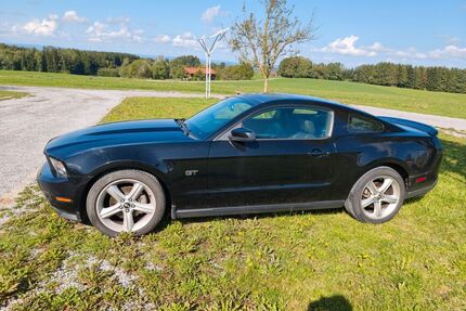 Ford Mustang Gebrauchtwagen