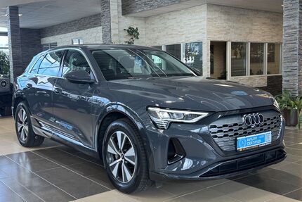 Audi Q8 e-tron Gebrauchtwagen