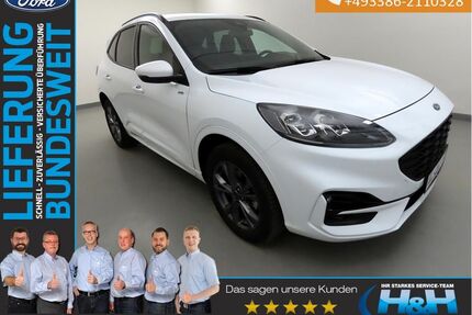 Ford Kuga Gebrauchtwagen