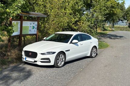 Jaguar XE Gebrauchtwagen
