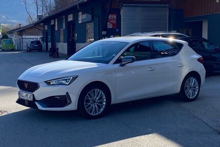 Cupra Leon Gebrauchtwagen