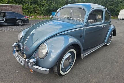 VW Käfer Oldtimer