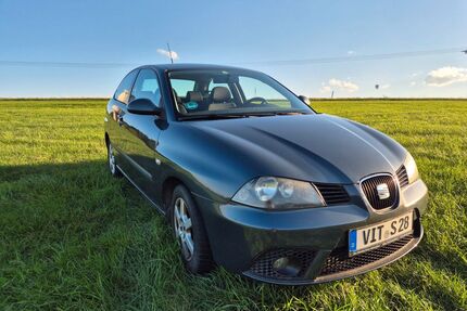 Seat Ibiza Gebrauchtwagen