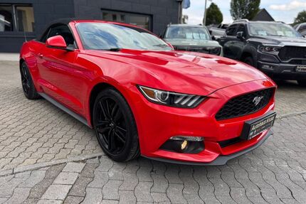 Ford Mustang Gebrauchtwagen