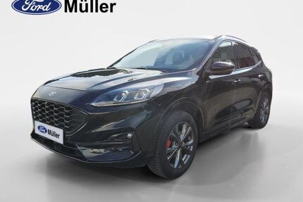Ford Kuga Gebrauchtwagen