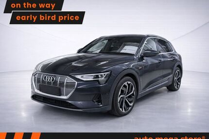 Audi e-tron Gebrauchtwagen