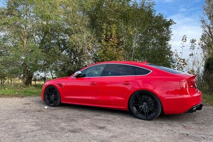 Audi S5 Gebrauchtwagen