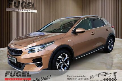 Kia XCeed Gebrauchtwagen