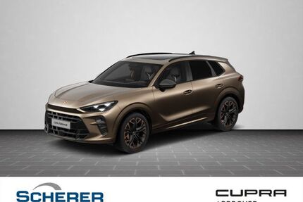 Cupra Terramar Gebrauchtwagen