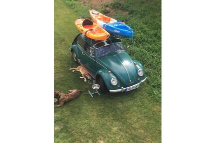 VW Käfer Gebrauchtwagen