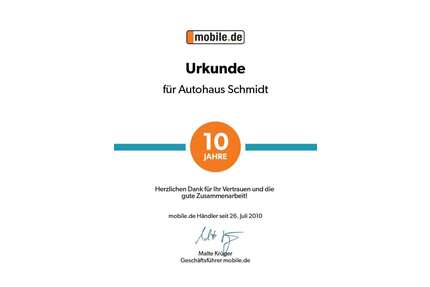 Tesla Model 3 Gebrauchtwagen