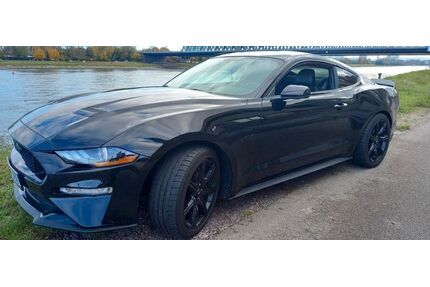 Ford Mustang Gebrauchtwagen