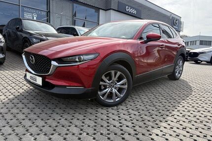 Mazda CX-30 Gebrauchtwagen
