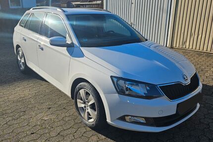 Skoda Fabia Gebrauchtwagen