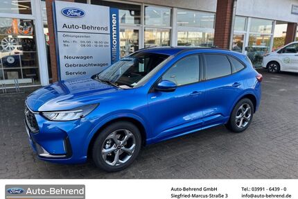 Ford Kuga Gebrauchtwagen