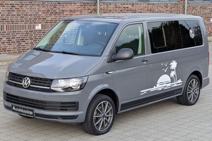VW T6 andere Gebrauchtwagen