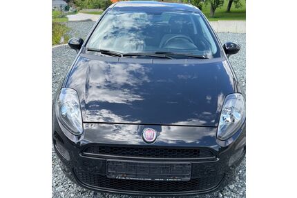 Fiat Punto Gebrauchtwagen