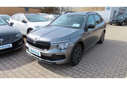 Skoda Kamiq Gebrauchtwagen