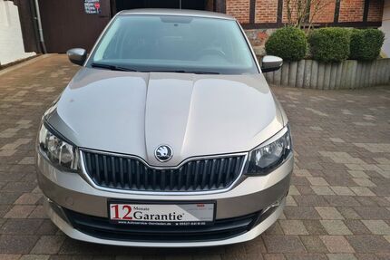 Skoda Fabia Gebrauchtwagen