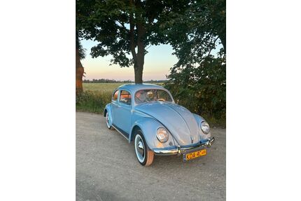 VW Beetle Oldtimer