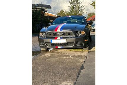 Ford Mustang Gebrauchtwagen