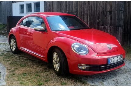 VW Beetle Gebrauchtwagen