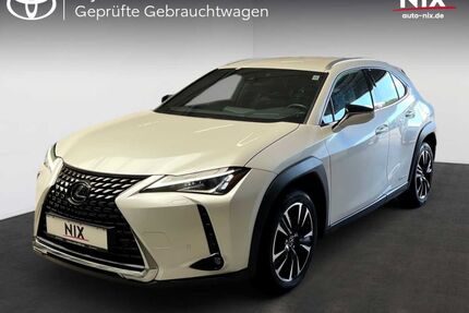 Lexus UX Gebrauchtwagen