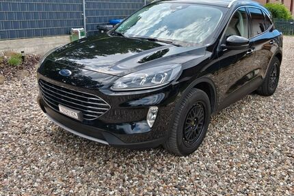 Ford Kuga Gebrauchtwagen
