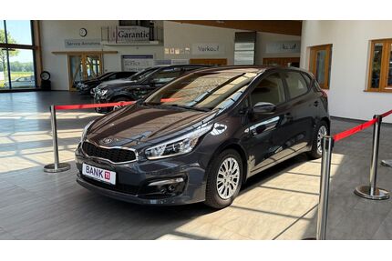 Kia ceed / Ceed Gebrauchtwagen